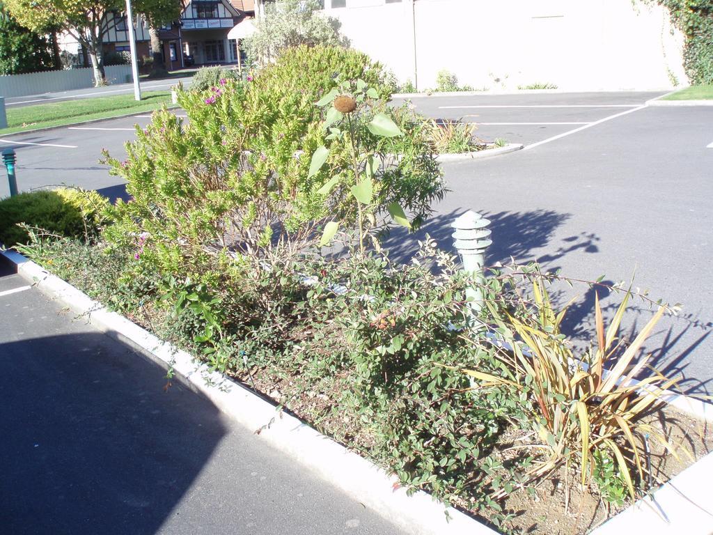 Fernhill Motor Lodge Lower Hutt Exterior foto